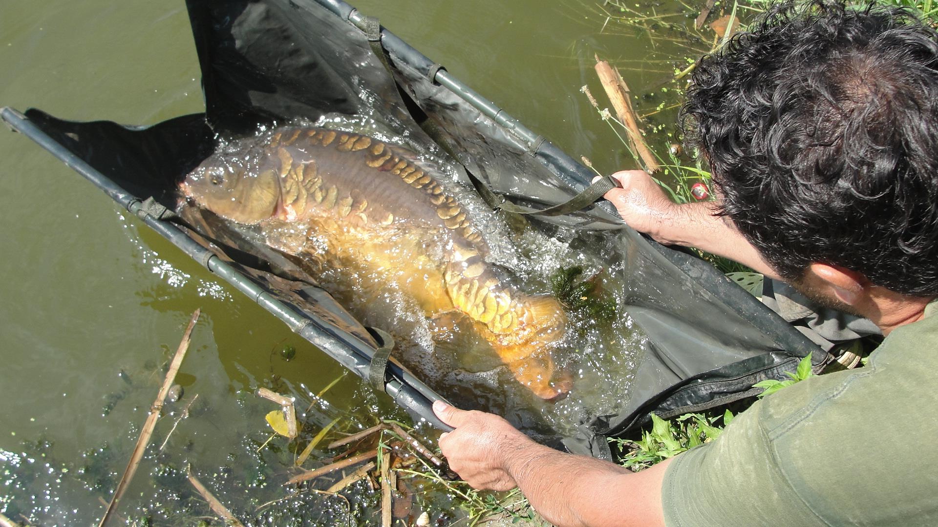 Hermes Peris 25 - 26 iulie 2014 - dsc04154.JPG